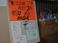 16.11 Psu na bude Wolontariat