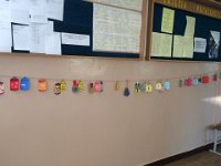 IMG 4481