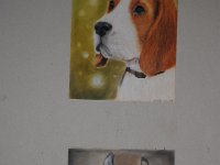 DSC 0097