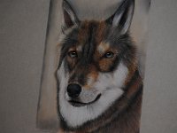 DSC 0099