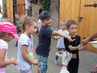 26.09 WIEJSKIE ZYCIE