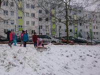 sanki1