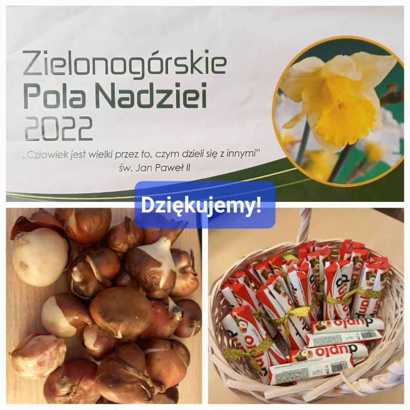 pola nadziei